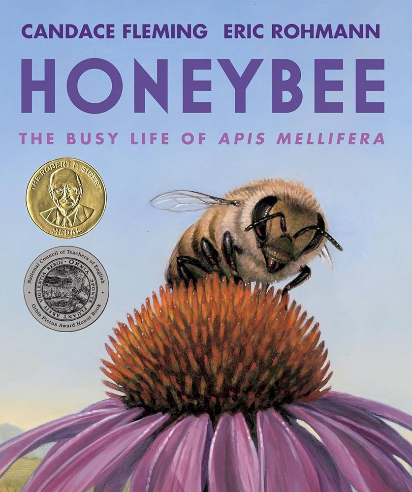 Book cover for Honeybee: The Busy Life of Apis Mellifera by Candace Fleming