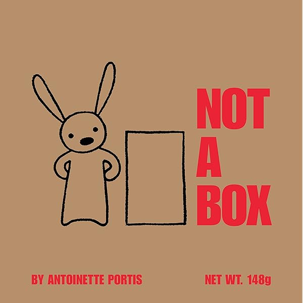 Not a Box book cover